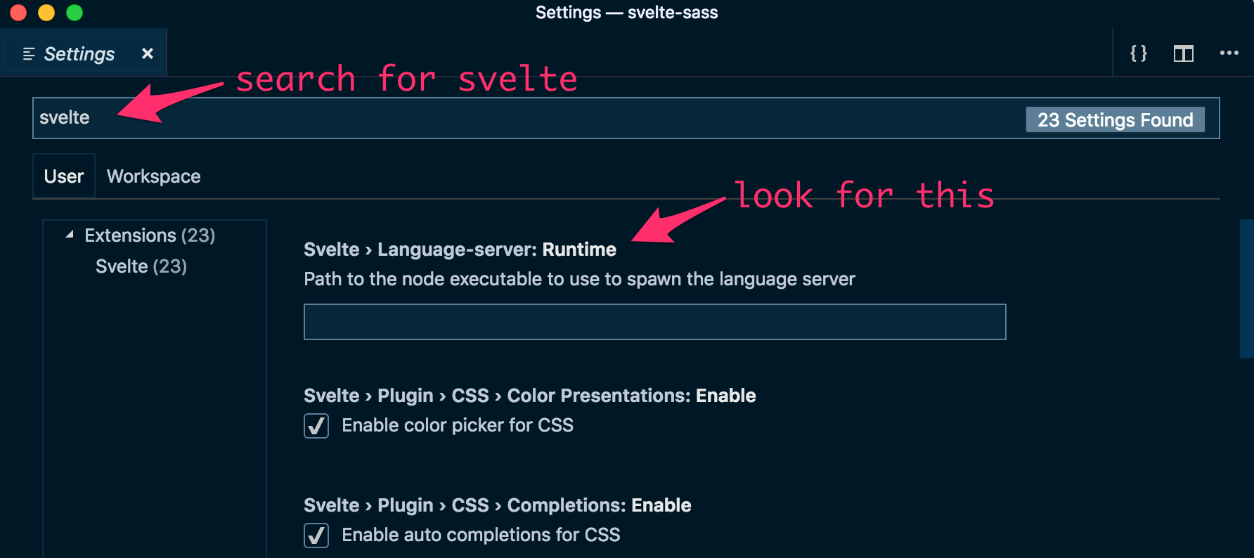 Finding the Svelte Language Server setting in VSCode